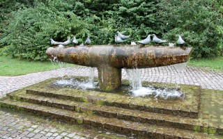 2_3_7_Taubenbrunnen_Maiergasse